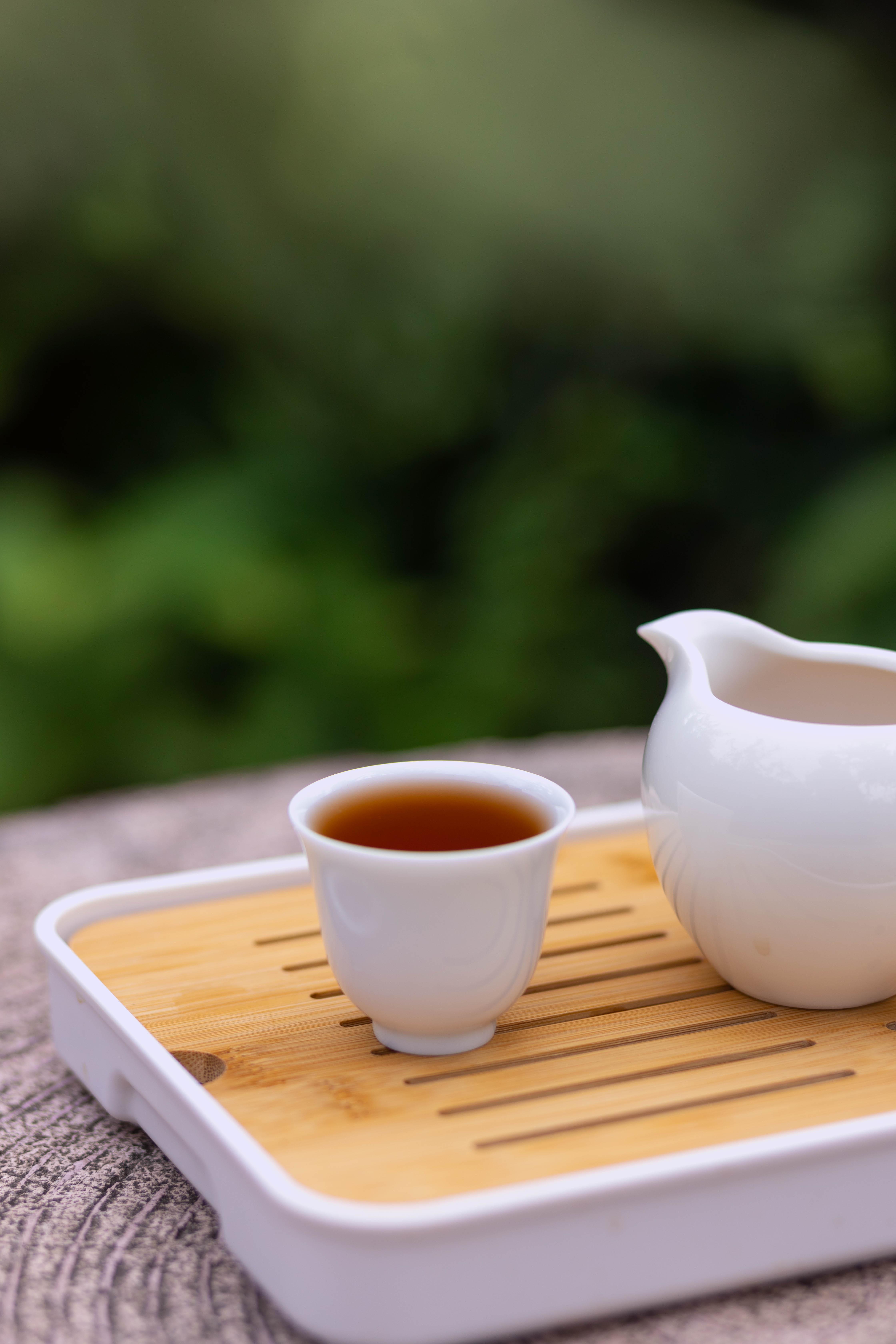 如果要你推荐一个关于泡茶的神奇,你会选择什么?