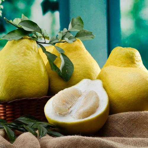 v2-b38a0d4ae8f325d18ea585aaad6ce645_1440w.jpg?source=172ae18b