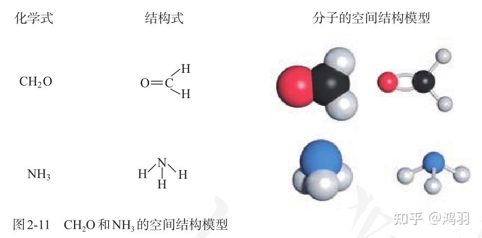 选择性必修2 第二章 第二节 分子的空间结构 - 知乎