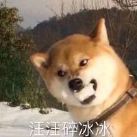 只狗儒雅随和