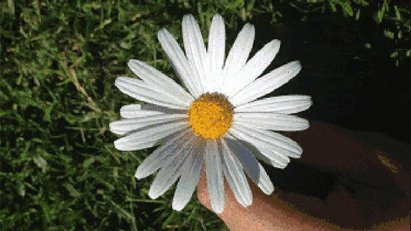 【jeusn有1说1】菊花经常洗不干净,小受们该怎么办?