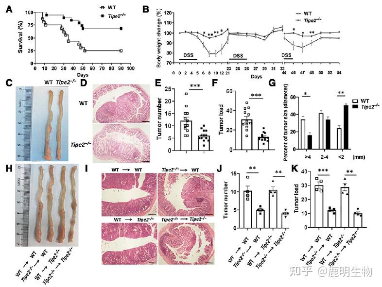 转录组测序/16s/宏基因组等多项技术探究结直肠癌抗肿瘤免疫应答 - 知乎
