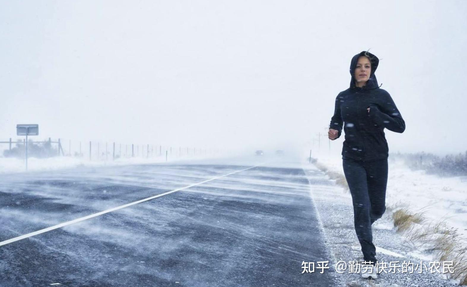 2021家用跑步机推荐指南家用跑步机品牌家用跑步机多少钱家用跑步机