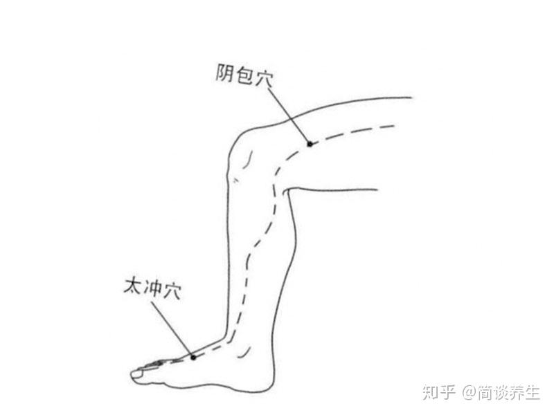 此，建议肝火旺盛的人群，经常性地按摩太冲穴和阴包穴等肝经相关穴位。