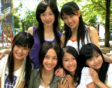 桃色幸运草z变迁 转日博 知乎