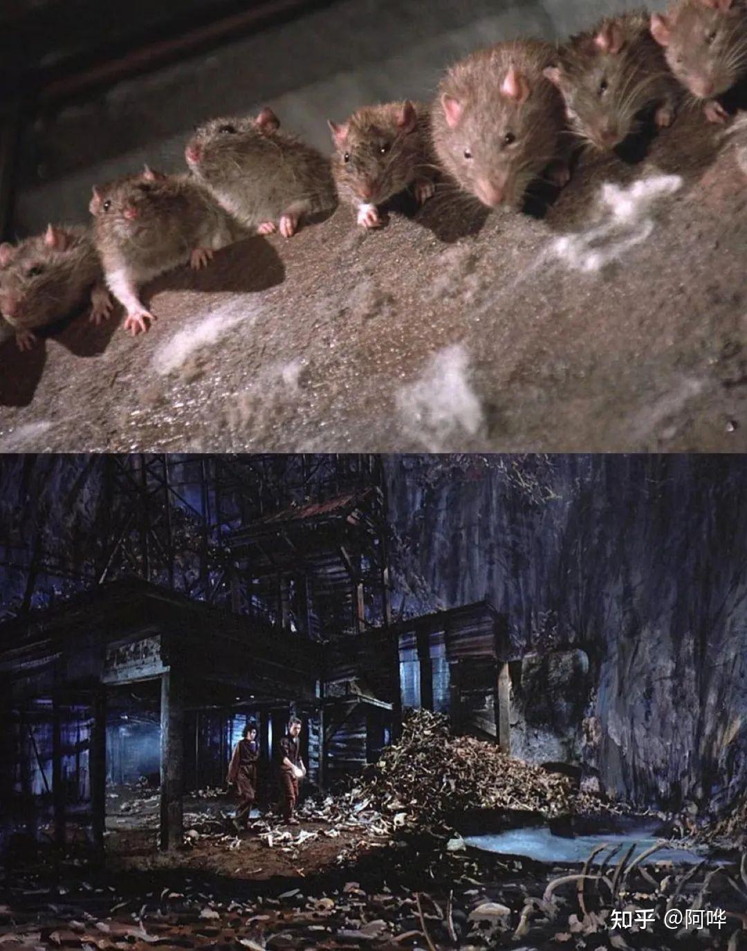 坟场禁区graveyard shift ·1990