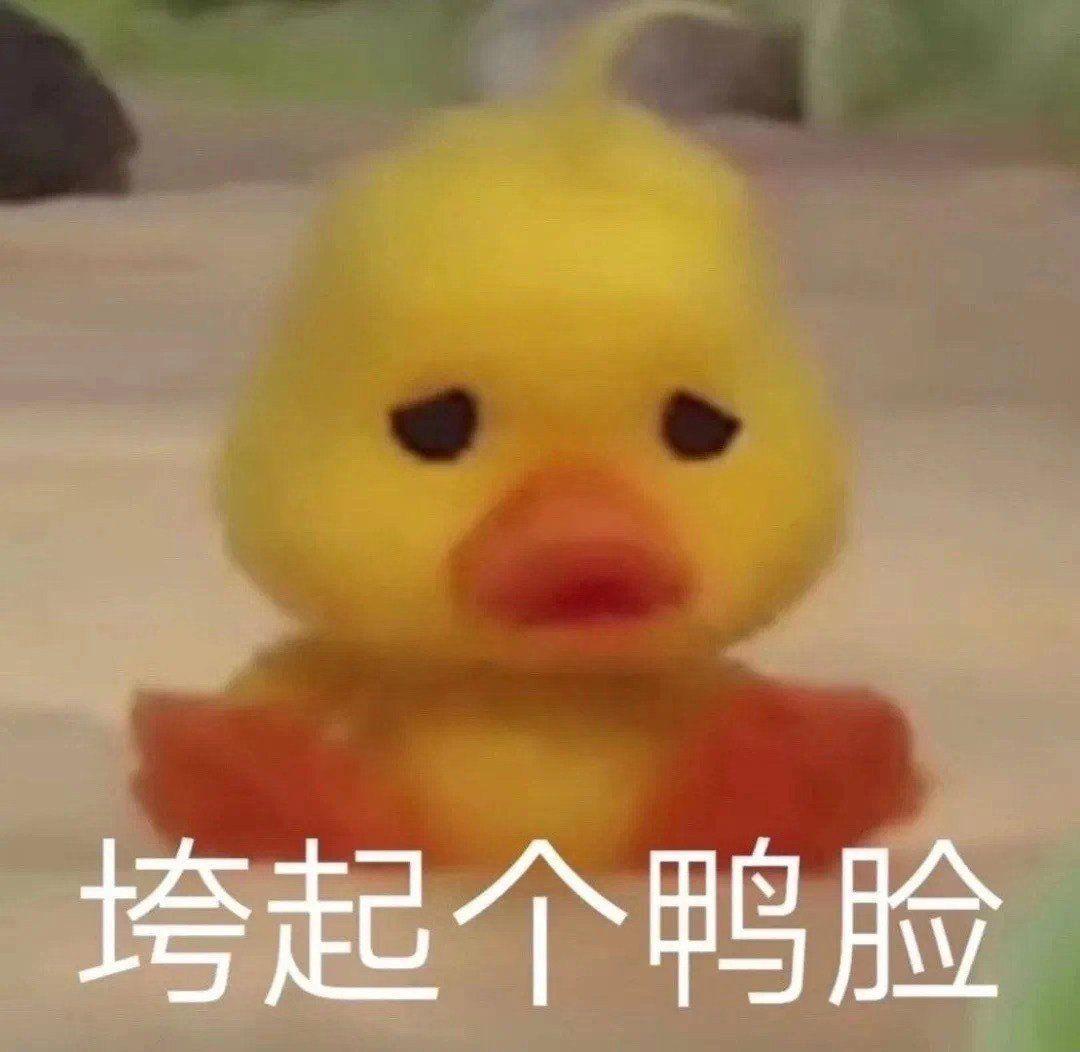 v2-b3c370946c2f7e8bc6042e0ad235d6f1_r.jpg