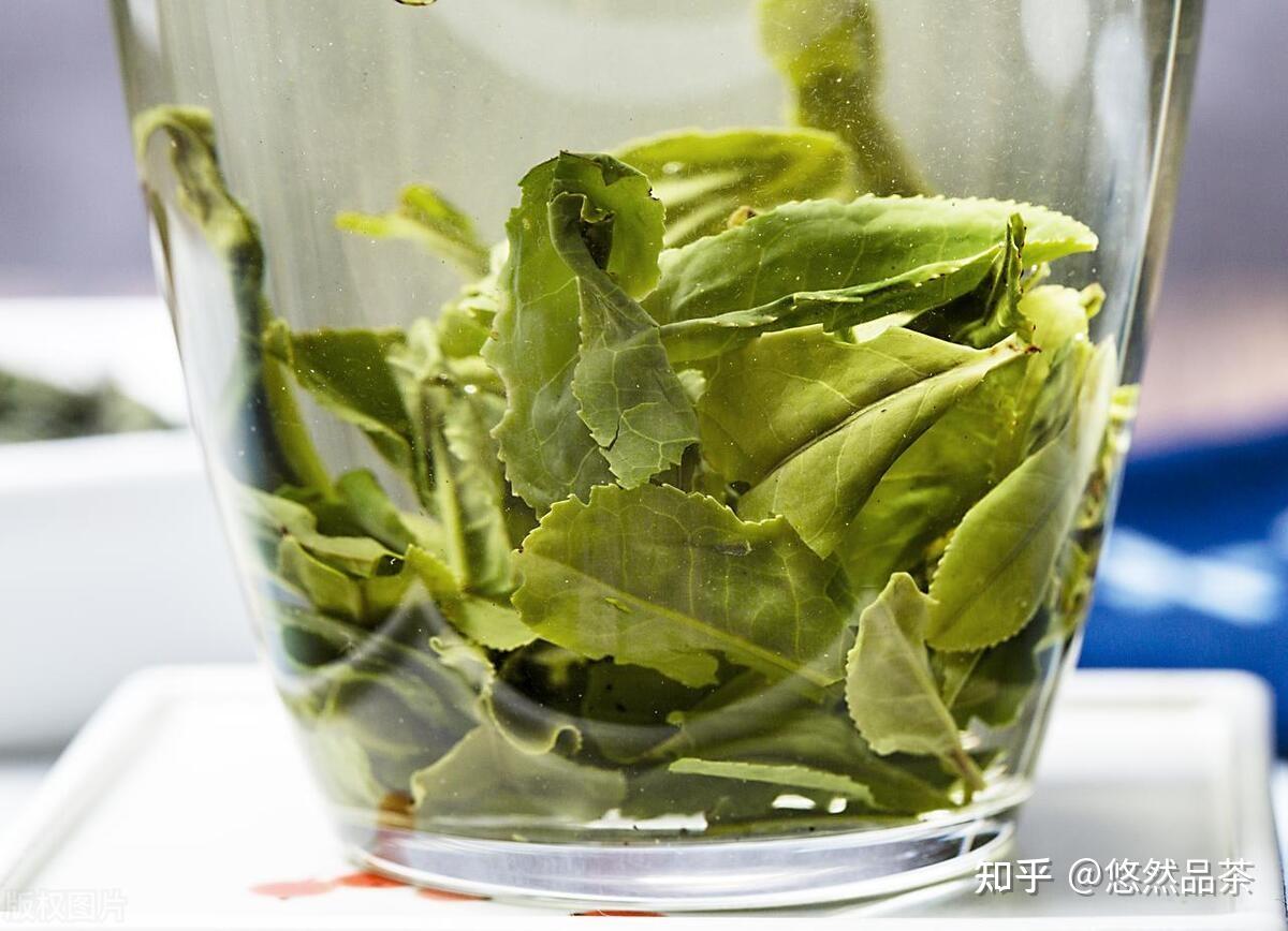 六安瓜片茶如何品赏—7类100种名茶系列品饮方法详解27 - 知乎