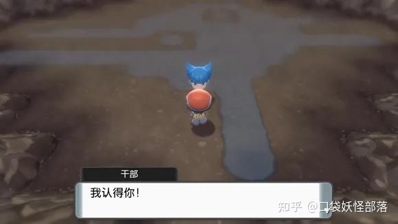 宝可梦晶灿钻石发售日期(《宝可梦晶灿钻石明亮珍珠》一周目图文攻略)  第226张