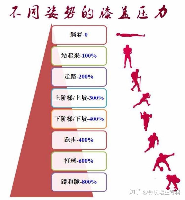 膝关节的周围肌肉薄弱,上下骨骼形成的杠杆,承受了人体85%的重量,所以