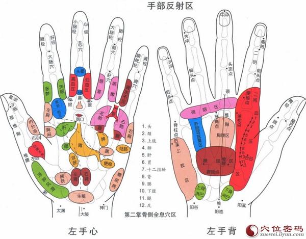 人体手部穴位图(高清详解) 手掌穴位图解大全 知乎 人体手部穴位图(高清详解) 手掌穴位图解大全 知乎
