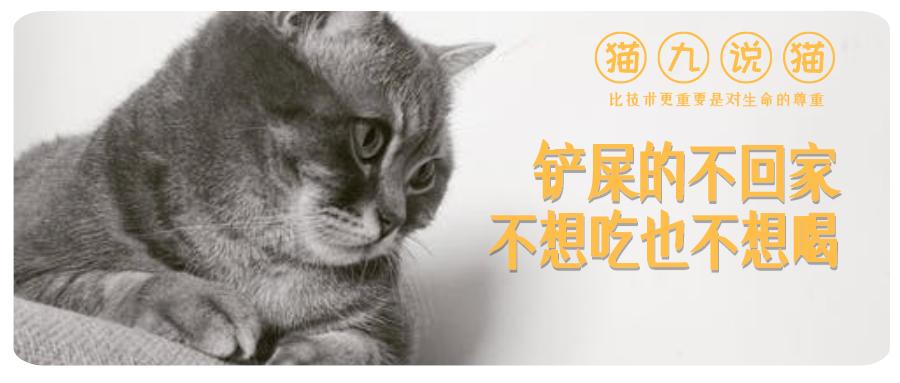 v2-b401876c18b1c243275355855a5917f2_1440w.jpg?source=172ae18b