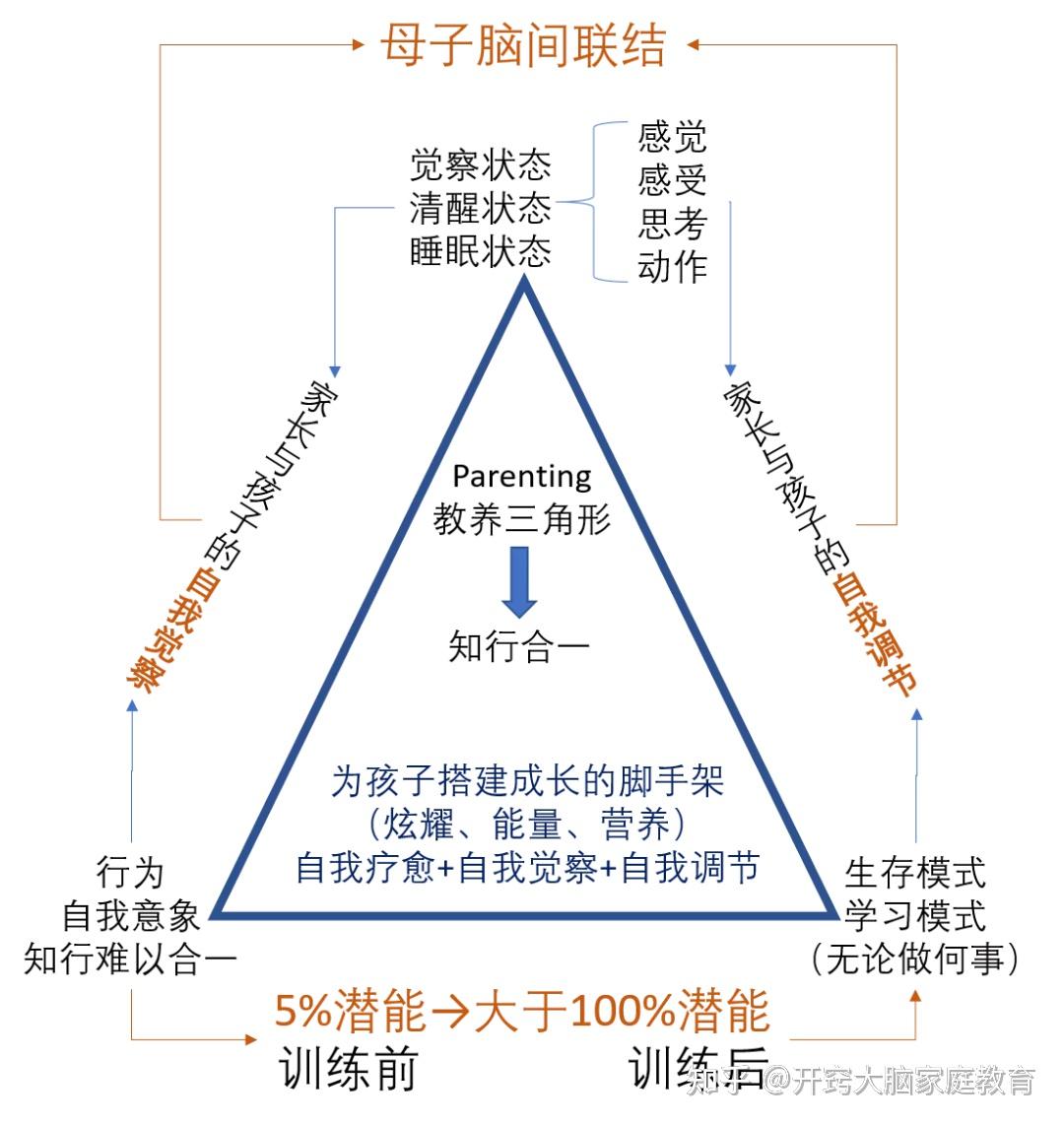 教养三角形只有科学地确定对孩子的教养基调,孩子才能从生存模式,转向