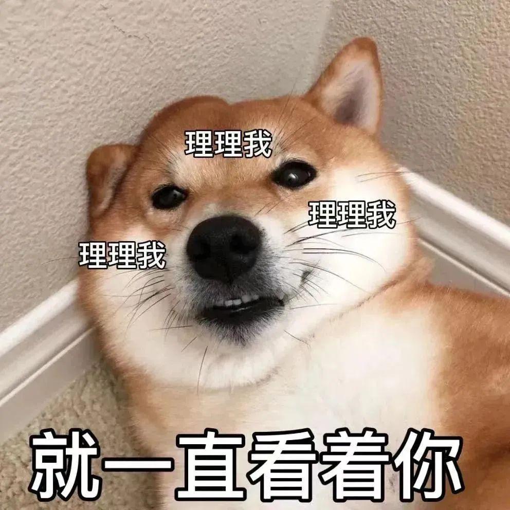 超级实用的表情包? - 知乎