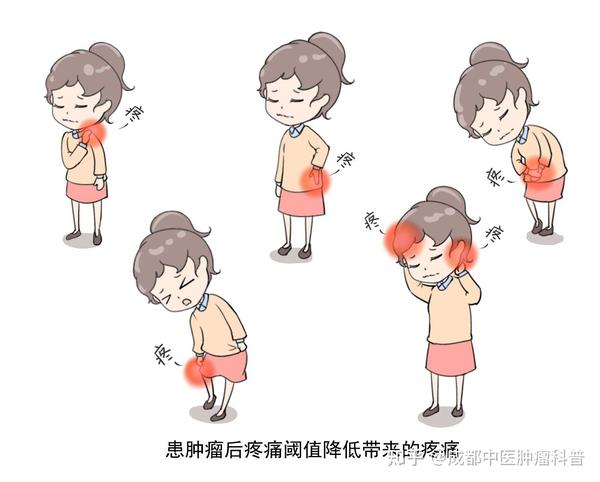 成都中医肿瘤医院段心好：中医中药治肿瘤癌痛有何意义 知乎 