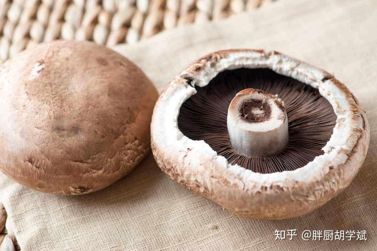 蘑菇摄影图__蔬菜_生物世界_摄影图库_昵图网nipic.com