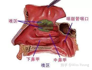 v2-b4299fd27ffe7604a9a1aca9f8010159_b.jpg