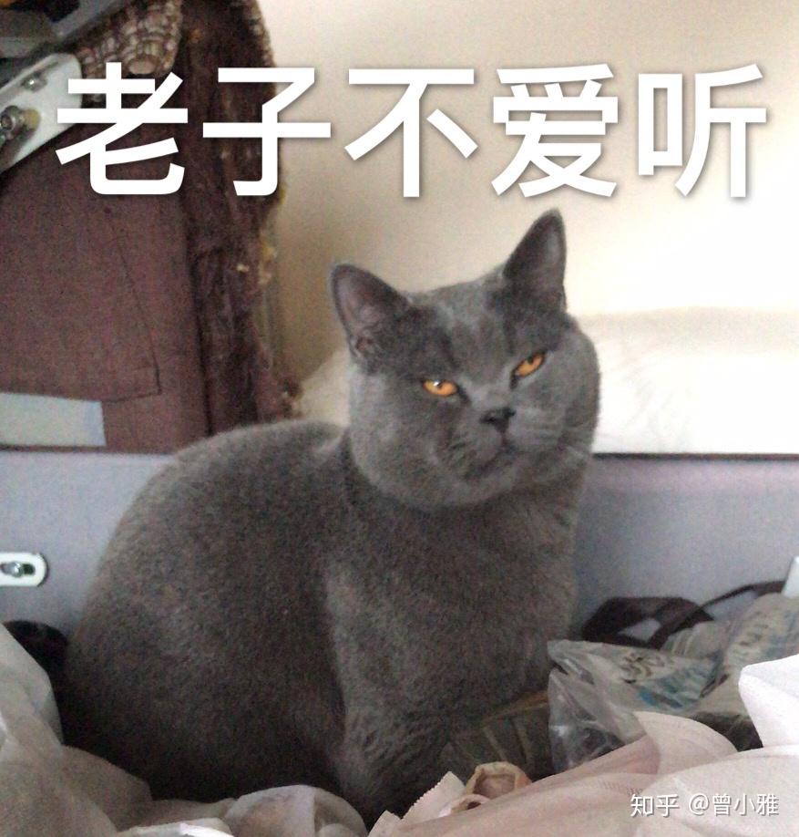 v2-b436241d34841636ddaabeb43ea27bcd_r.jpg