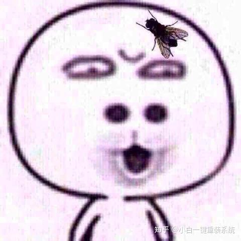 什么显卡好 独立还是集成