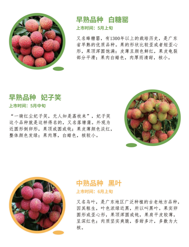 广东荔枝大盘点，最先吃到的是妃子笑，你最喜欢哪种？ - 知乎