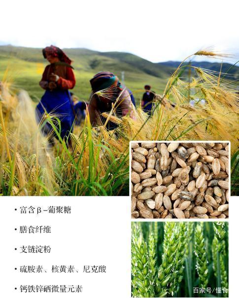 青稞的拼音 zhuanlan.zhihu.com