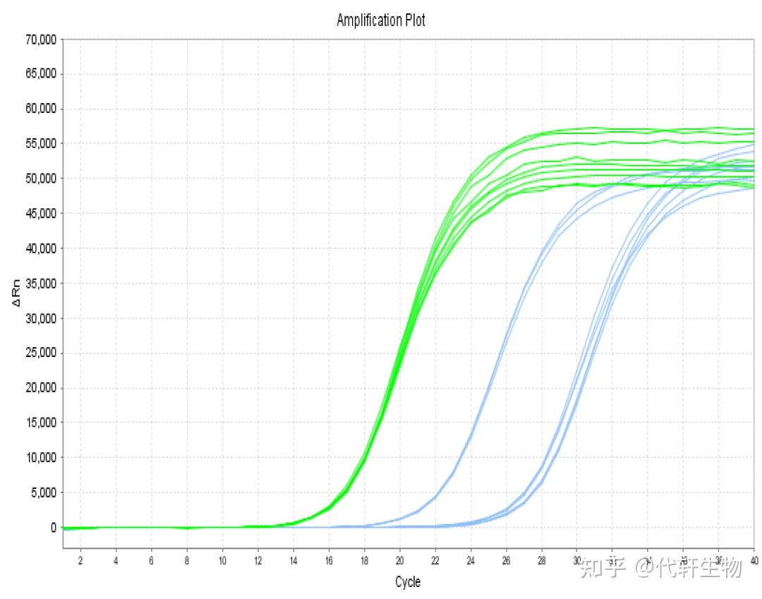 分子生物学核心技术：荧光定量PCR (qPCR) 详解与高频问题解析 - 知乎
