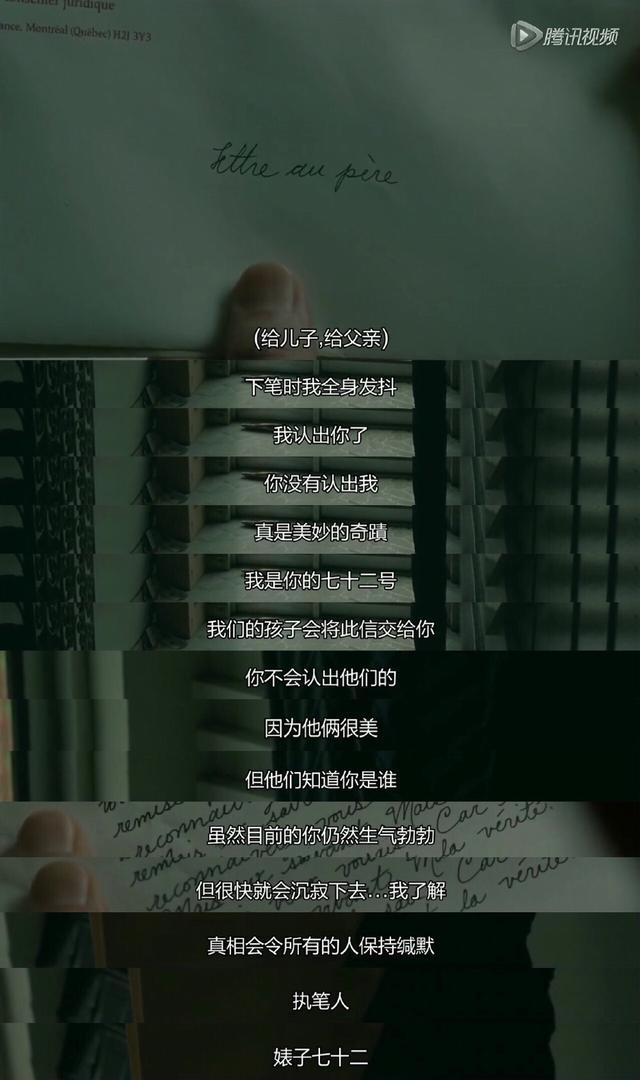 焦土之城第83届奥斯卡提名电影向阳处即是爱与和平