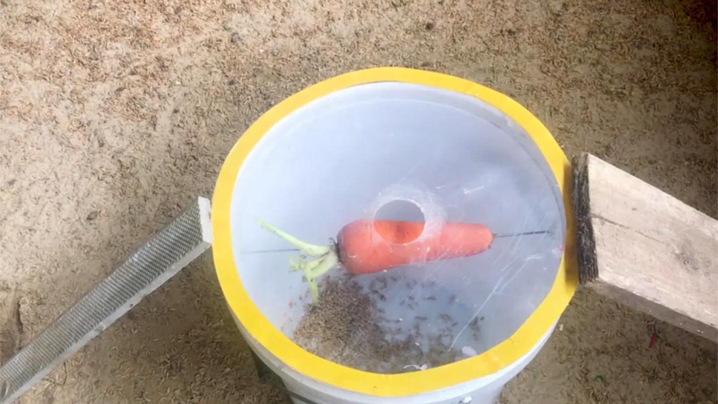 四川话配音:爆笑点名后续,这个老师不一般