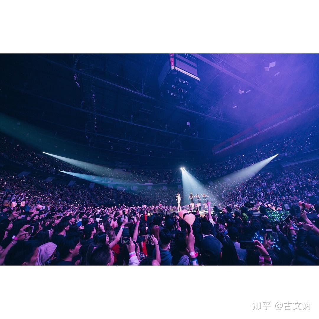 有没有blackpink演唱会一片粉海的照片
