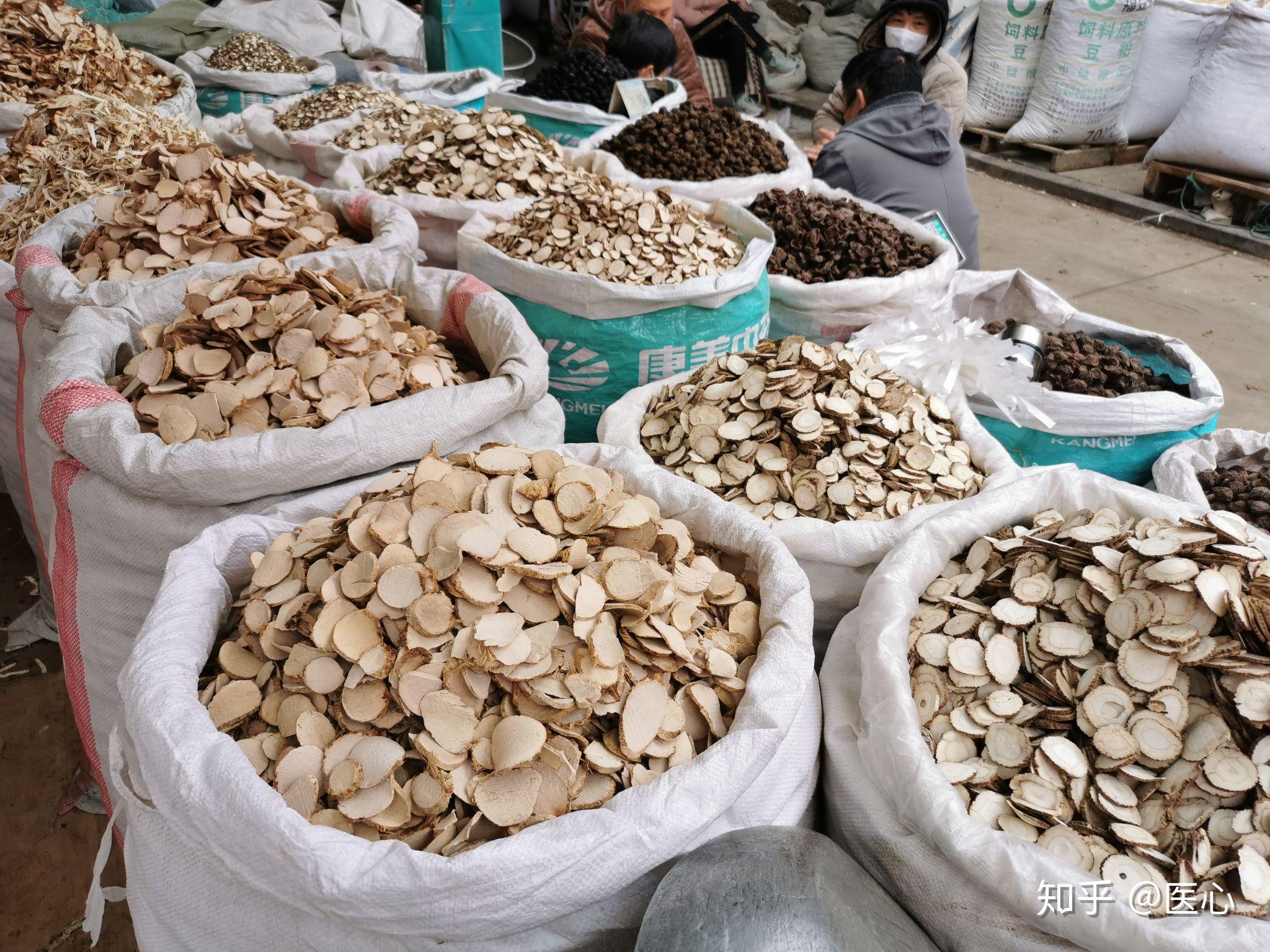 亳州中药材市场见习录