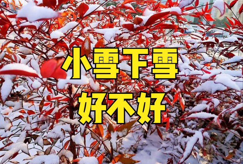 夜夜