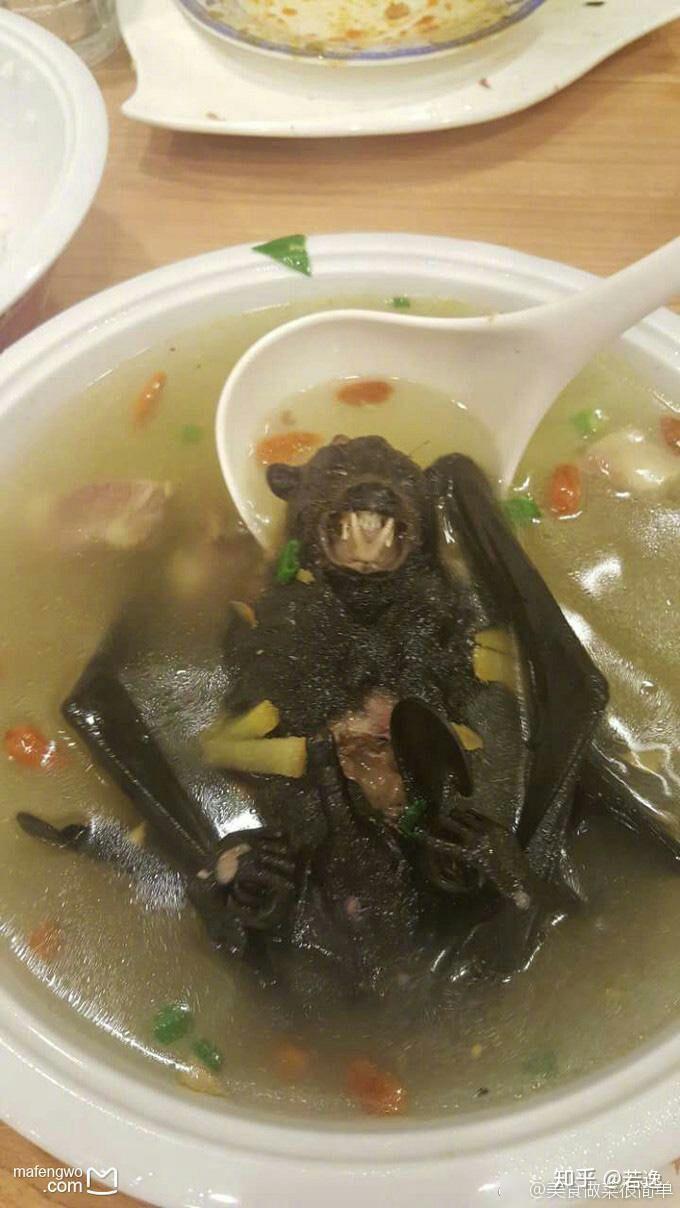 得多馋才会去吃蝙蝠