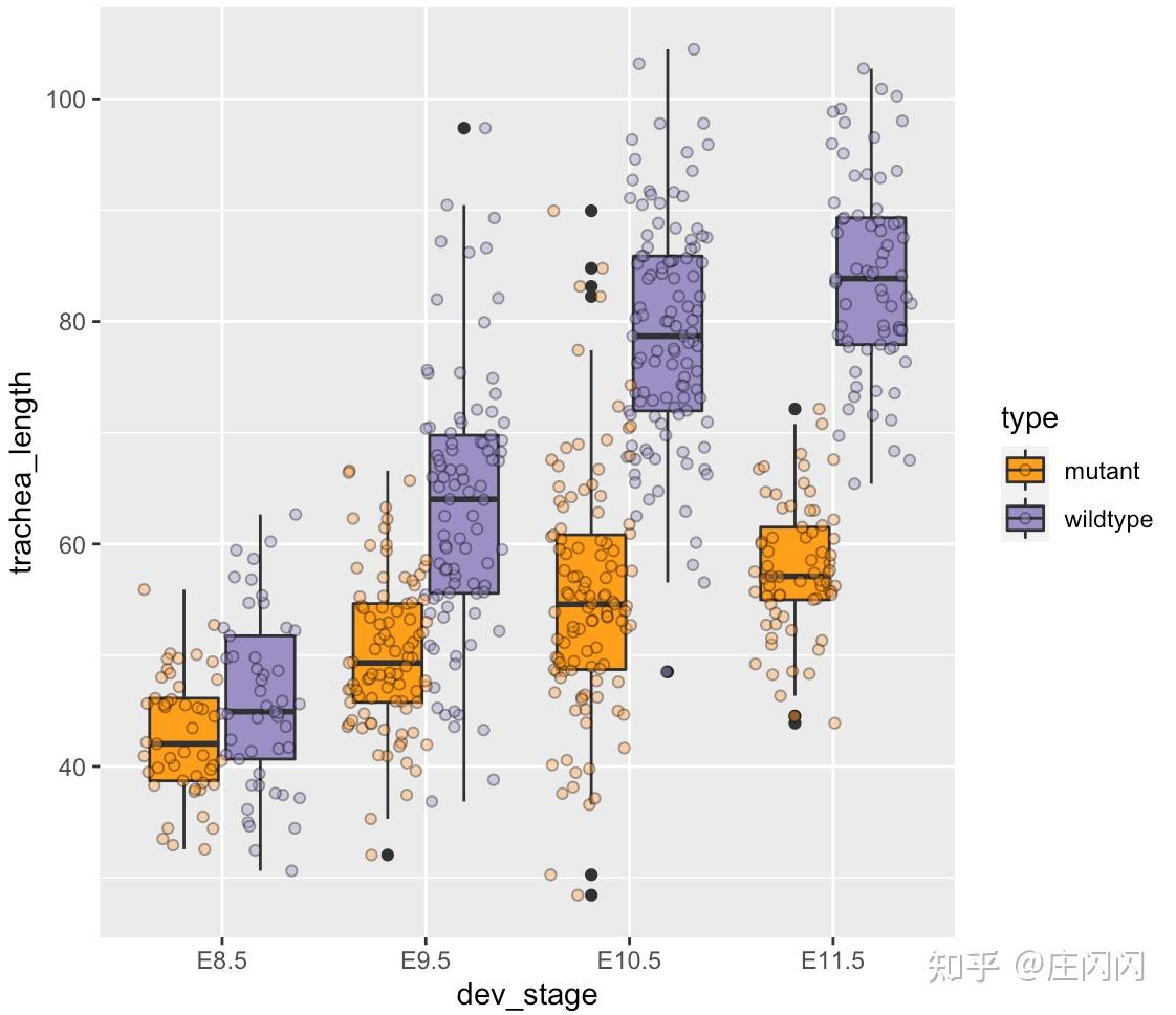 基礎版本使用geom_boxplot()繪製箱線圖,geom_point()加入散點圖,注意