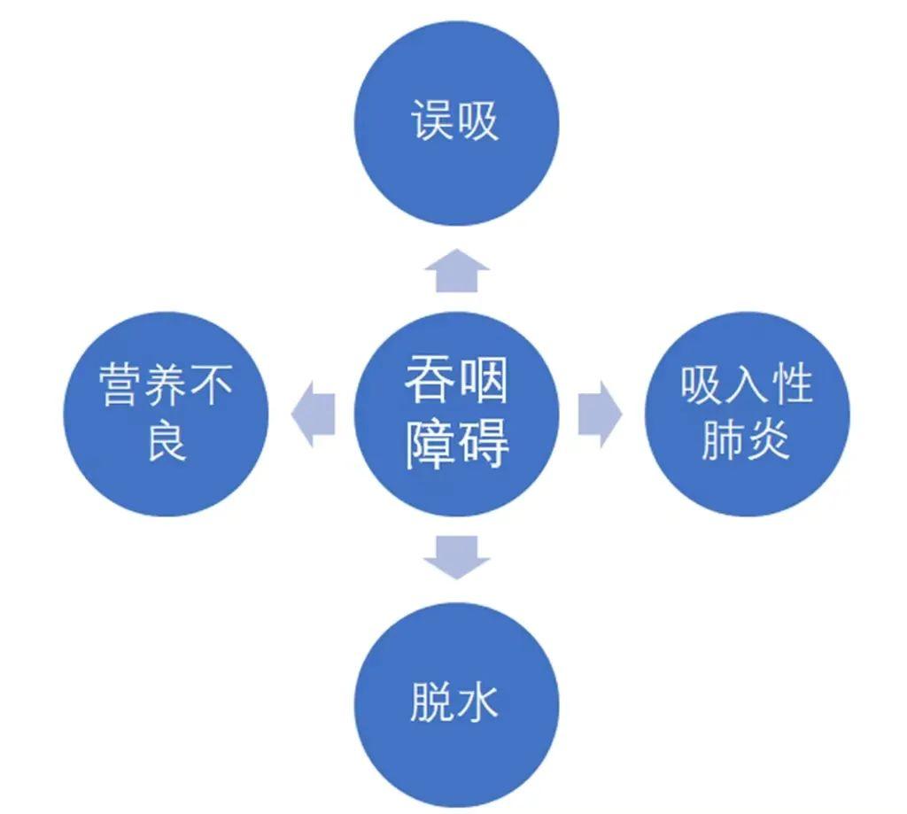 氣管在吞嚥時被會厭會封閉,觸發呼吸的大腦區域自動關閉,懸雍垂(小舌)