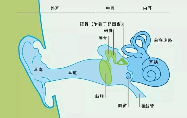 v2-b49415e422acbc88dbc87d614c43c759_r.jpg
