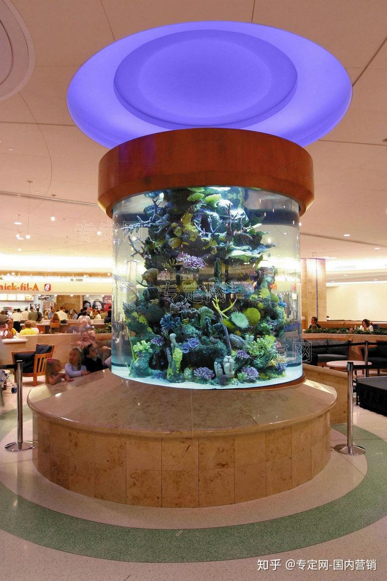 专定网-大型鱼缸的种类有哪些