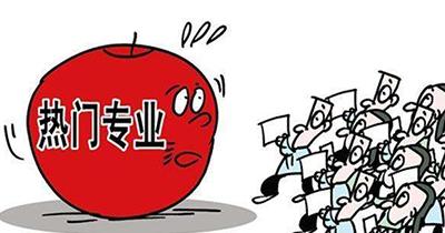 热门专业介绍(500个专业介绍)