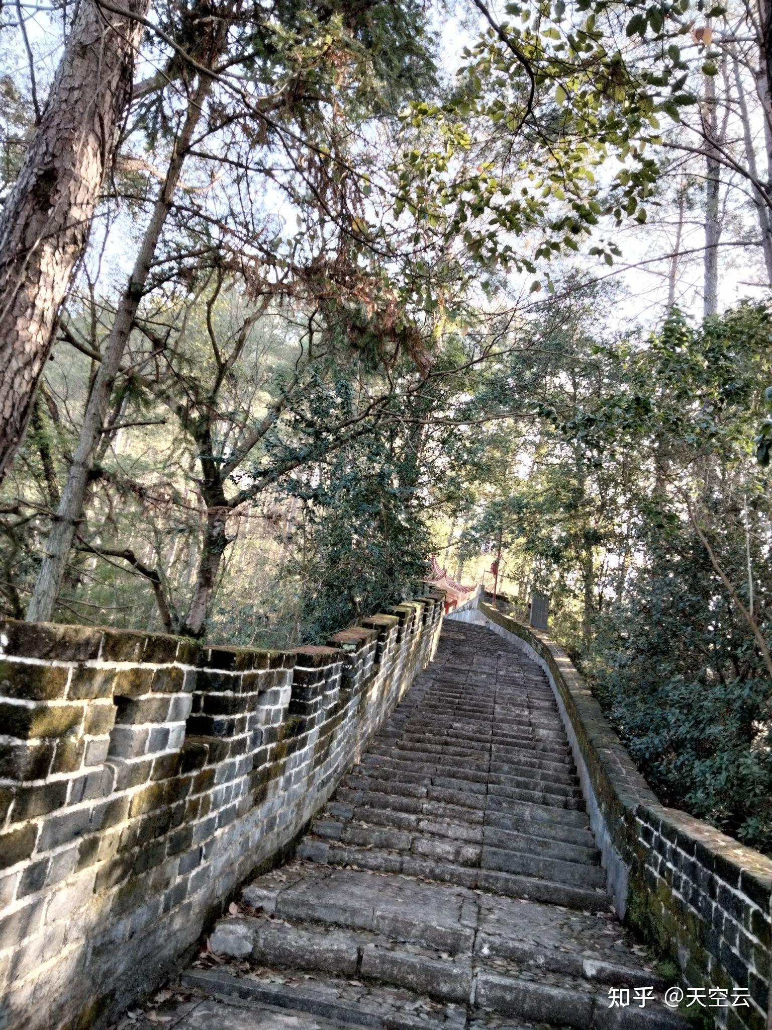 遂宁卧龙山公园图片