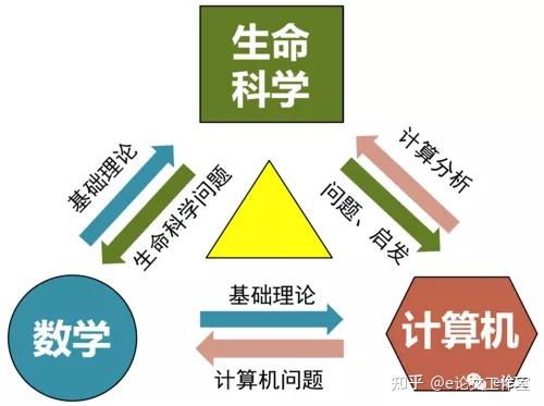 学科交叉不是目的目的是解决实际问题