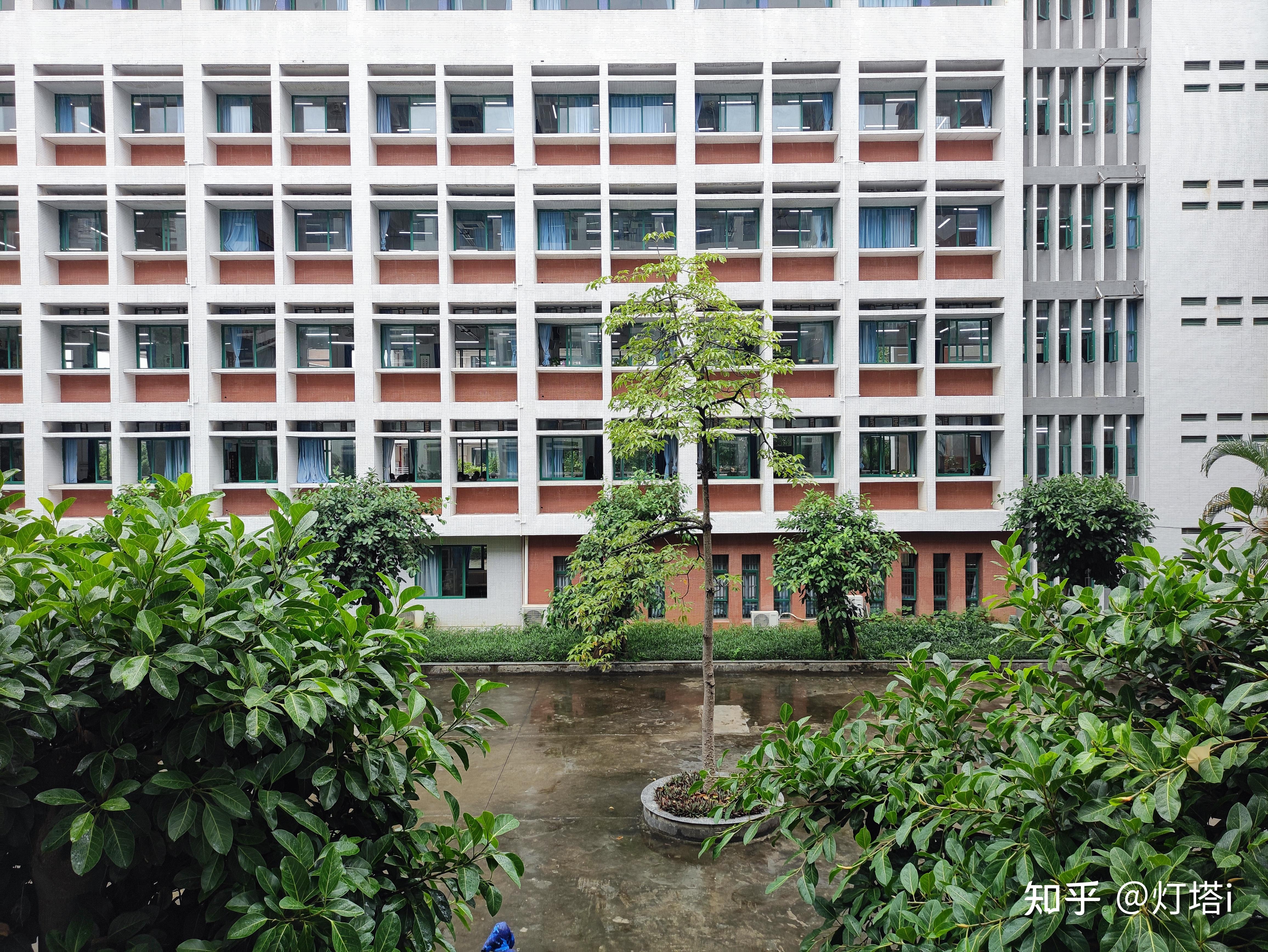 在清远市第一中学实验学校清实就读是一种怎样的体验