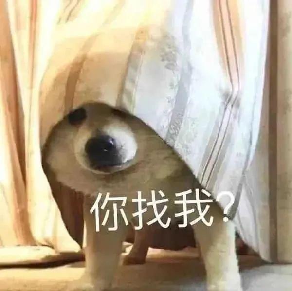 120张万能的表情包推荐-万能表情图片大全