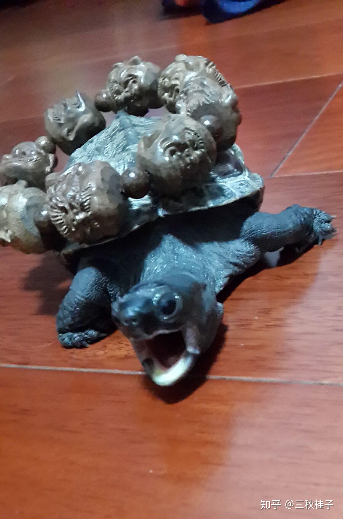 乌龟真的有灵性么?