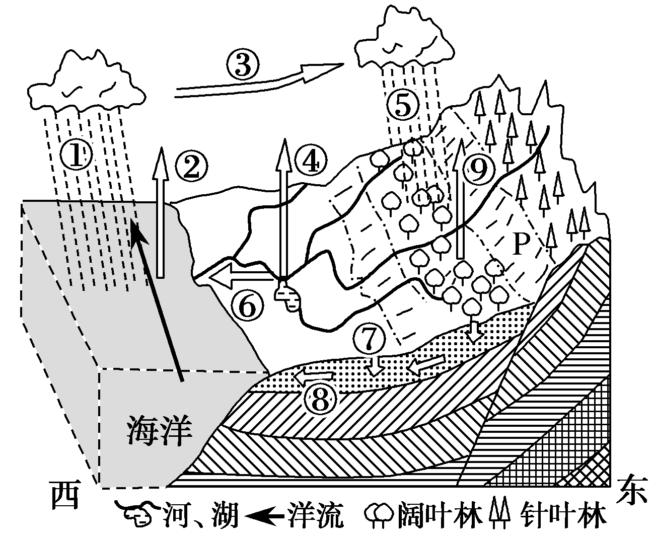 冰川堆積2.對河湖水資源更新影響最大的水循環