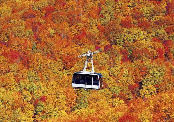 日本人的赏枫名所排名出炉了 知乎