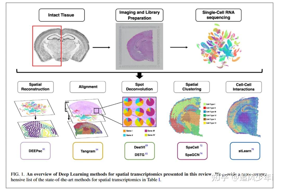 10X空间转录组重点分析合集2 - 知乎