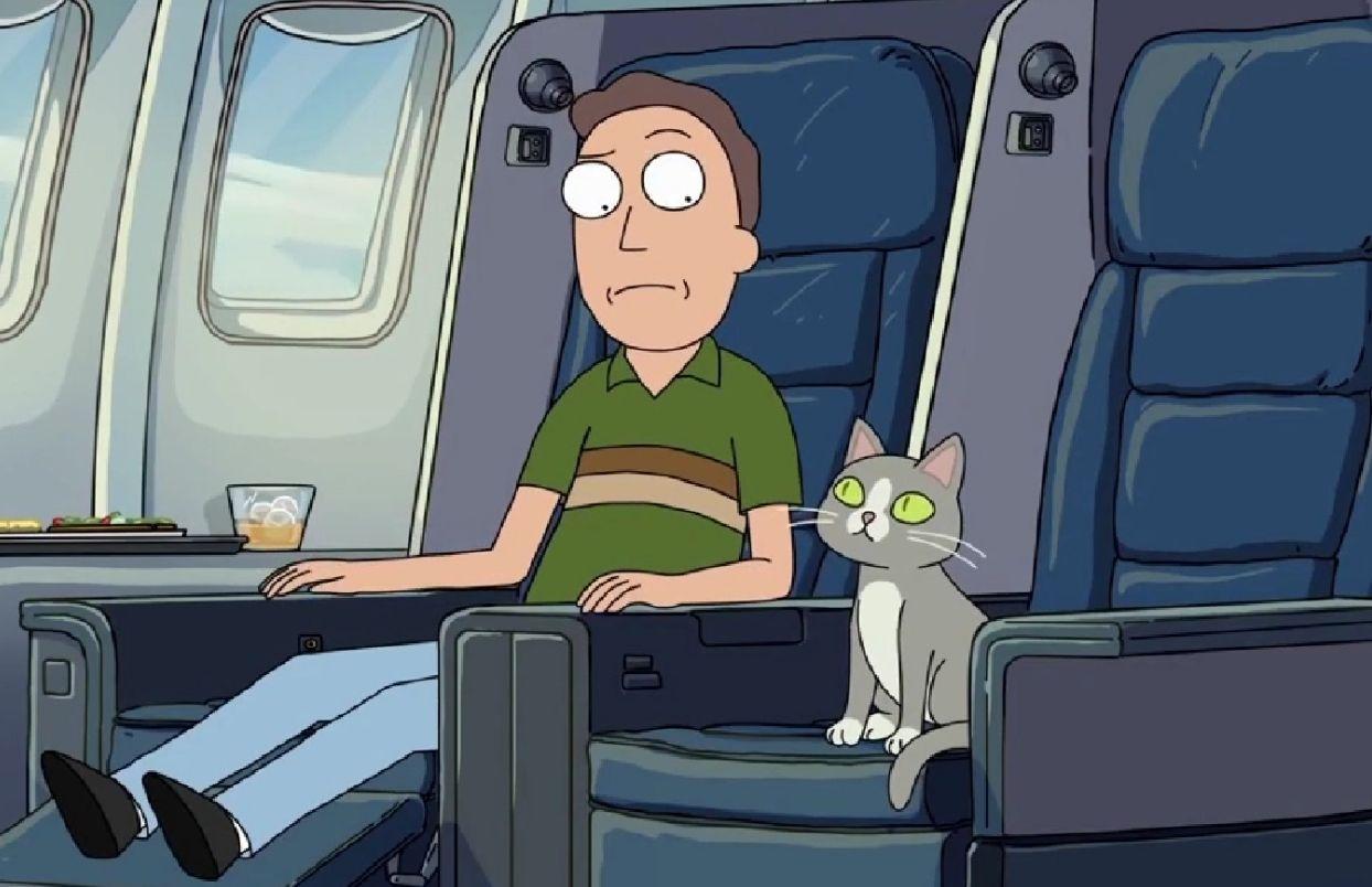 动画瑞克和莫蒂第四季第四集的猫为什么会说话