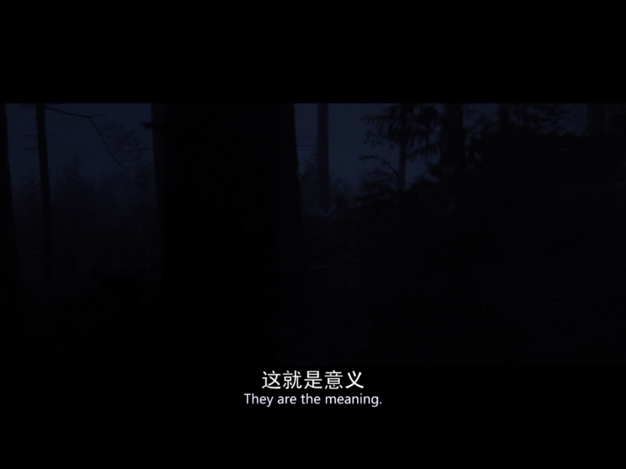 如何评价电影《忽然七日》?