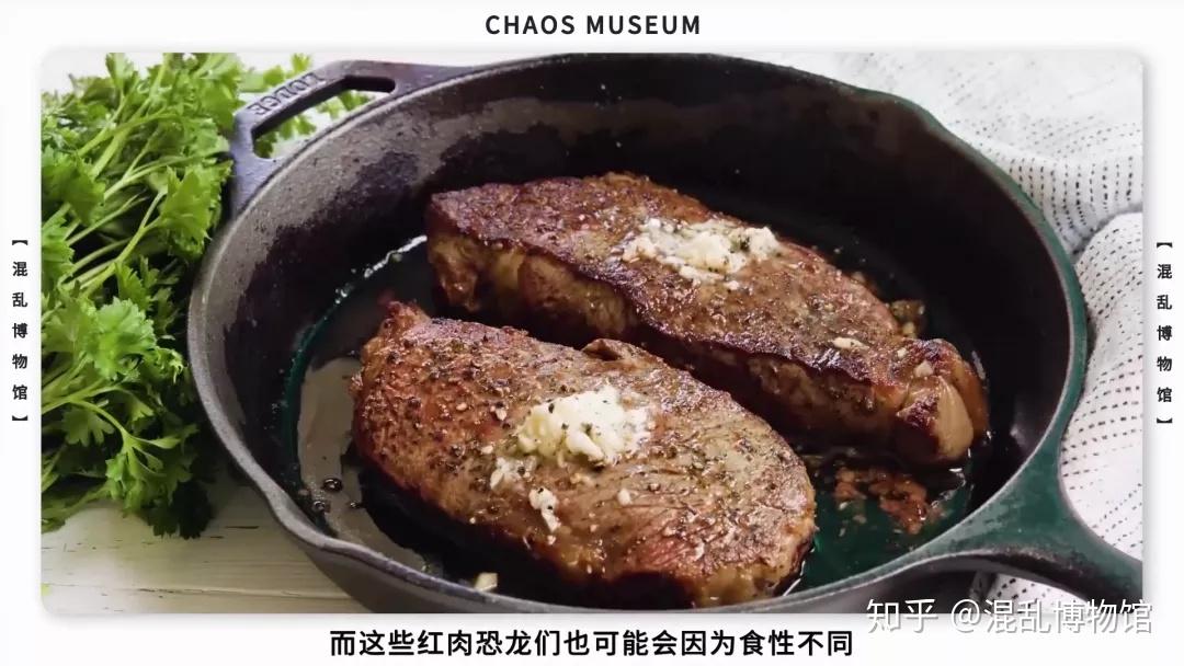 恐龙肉好吃吗丨混乱博物馆