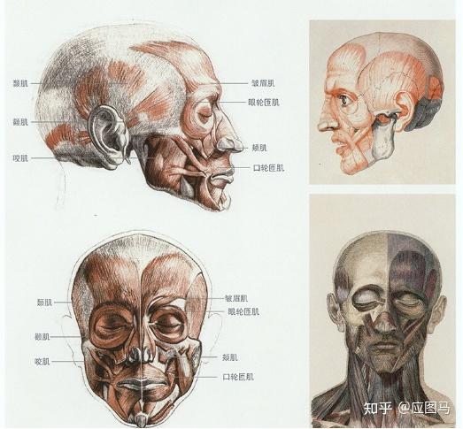 脸部阴影该怎么画