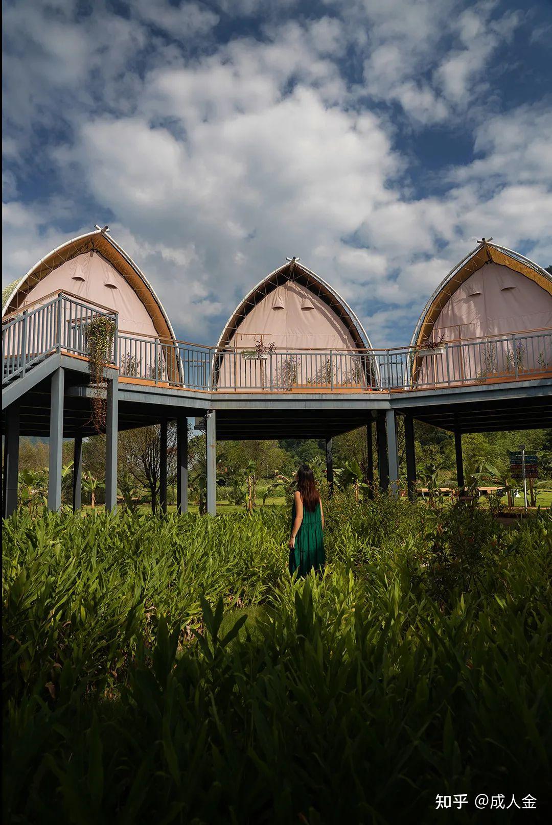 061001000山谷稻田森林帐篷全有了桂林阳朔民宿推荐